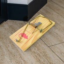 Wooden Mouse Rat Traps (1 Pc)